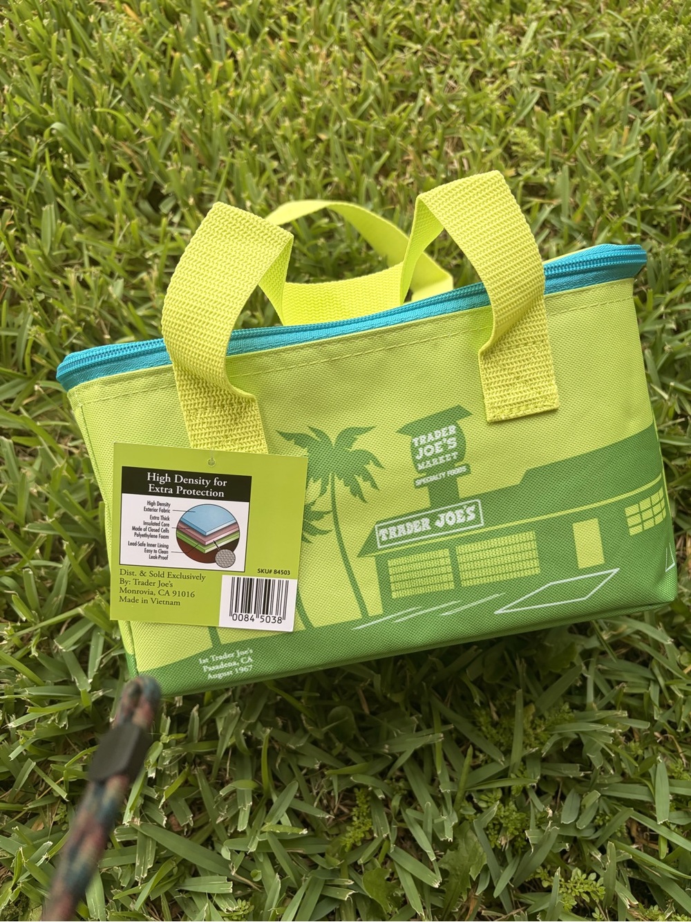 Trader Joe’s Mini Cooler in mint green !! New with tag